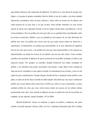 para plantas eléctricas más importante de Inglaterra. El carbón no es una fuente de energía muy
limpia, y la quema de grandes cantidades llenó de hollín el aire de Londres y de otras ciudades
industriales, asentándose sobre la tierra, edificios y hasta sobre los troncos de los árboles (los
cuales pasaron de ser gris claro a ser gris oscuro). Estas polillas moteadas son muy activas
durante la noche, pero dependen durante el día de lugares donde poder camuflajearse a fin de
evitar predadores. Pero las polillas de color gris claro ya no quedaban bien camuflajeadas sobre
los troncos oscurecidos. Debido a que sus predadores eran capaces de ver más fácilmente las
polillas gris claro, las polillas gris oscuro eran las que tenían mayor chance de sobrevivir y
reproducirse. Eventualmente, las polillas que predominaban en la zona industrial de Inglaterra
eran las de color gris oscuro, y las polillas de color gris claro predominaban en las regiones no
industrializadas (en donde los troncos de los árboles aún eran de color claro). Varios estudios
científicos han probado la hipótesis de que la coloración de las polillas moteadas se debió a una
selección natural. Por ejemplo, un científico llamado Kettlewell crió ambas variedades de
polillas, y las identificó para poder encontrarlas nuevamente. Luego liberó cierta cantidad de
cada una de las variedades en una región en donde la contaminación era elevada, y otras en una
región de poca contaminación. Tiempo después, Kettlewell fue a recapturar tantas polillas como
pudo, en cada una de las áreas en donde las había dejado. Descubrió que una mayor cantidad de
polillas gris oscuro habían sobrevivido bajo el hollín que cubría la zona contaminada, y mayor
cantidad polillas de color gris claro sobrevivieron donde los troncos de los árboles habían
permanecido color claro. Esto sustentó la hipótesis de que el cambio de color de las polillas era
resultante de una selección natural (Gardiner, 05-16-2005)
Bernard Kettlewell, “doctor en medicina y experto en polillas y mariposas, fue quien
estudió a la polilla moteada” (Heinze, 2001, p.9-10). A mediados del pasado siglo XX, el trabajo
 