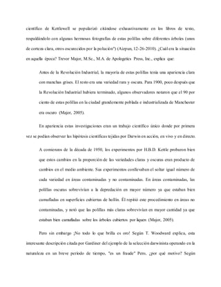 científico de Kettlewell se popularizó citándose exhaustivamente en los libros de texto,
respaldándolo con algunas hermosas fotografías de estas polillas sobre diferentes árboles (unos
de corteza clara, otros oscurecidos por la polución") (Aizpun, 12-26-2010). ¿Cuál era la situación
en aquella época? Trevor Major, M.Sc., M.A. de Apologetics Press, Inc., explica que:
Antes de la Revolución Industrial, la mayoría de estas polillas tenía una apariencia clara
con manchas grises. El resto era una variedad rara y oscura. Para 1900, poco después que
la Revolución Industrial hubiera terminado, algunos observadores notaron que el 90 por
ciento de estas polillas en la ciudad grandemente poblada e industrializada de Manchester
era oscuro (Major, 2005).
En apariencia estas investigaciones eran un trabajo científico único donde por primera
vez se podían observar las hipótesis científicas tejidas por Darwin en acción, en vivo y en directo.
A comienzos de la década de 1950, los experimentos por H.B.D. Kettle probaron bien
que estos cambios en la proporción de las variedades claras y oscuras eran producto de
cambios en el medio ambiente. Sus experimentos conllevaban el soltar igual número de
cada variedad en áreas contaminadas y no contaminadas. En áreas contaminadas, las
polillas oscuras sobrevivían a la depredación en mayor número ya que estaban bien
camufladas en superficies cubiertas de hollín. Él repitió este procedimiento en áreas no
contaminadas, y notó que las polillas más claras sobrevivían en mayor cantidad ya que
estaban bien camufladas sobre los árboles cubiertos por liquen (Major, 2005).
Pero sin embargo ¡No todo lo que brilla es oro! Según T. Woodward explica, esta
interesante descripción citada por Gardiner del ejemplo de la selección darwinista operando en la
naturaleza en un breve período de tiempo, "es un fraude" Pero, ¿por qué motivo? Según
 