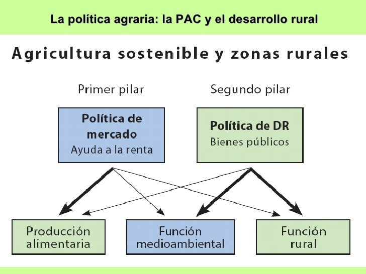 INFOGRAFÍA Ley Agraria Mexicana INFOGRAFÍA Ley Agraria Mexicana