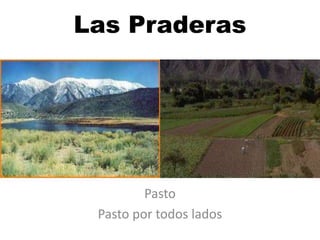 Las Praderas




         Pasto
 Pasto por todos lados
 
