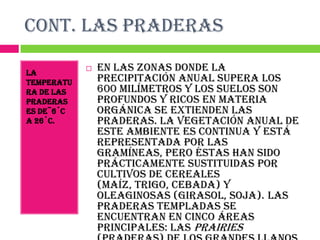 CONT. LAS PRADERAS

La
               En las zonas donde la
temperatu       precipitación anual supera los
ra de las       600 milímetros y los suelos son
praderas        profundos y ricos en materia
es deˉ6˚C       orgánica se extienden las
a 26˚C.         praderas. La vegetación anual de
                este ambiente es continua y está
                representada por las
                gramíneas, pero éstas han sido
                prácticamente sustituidas por
                cultivos de cereales
                (maíz, trigo, cebada) y
                oleaginosas (girasol, soja). Las
                praderas templadas se
                encuentran en cinco áreas
                principales: las prairies
 