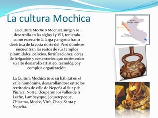 La cultura Mochica
La cultura Moche o Mochica surge y se
desarrolla en los siglos I y VII, teniendo
como escenario la larga y angosta franja
desértica de la costa norte del Perú donde se
encuentran los restos de sus templos
piramidales, palacios, fortificaciones, obras
de irrigación y cementerios que testimonian
su alto desarrollo artístico, tecnológico y
compleja organización.
La Cultura Mochica tuvo su hábitat en el
valle homónimo, desarrollándose entre los
territorios de valle de Nepeña al Sur y de
Piura al Norte. Ocuparon los valles de la
Leche, Lambayeque, Jequetepeque,
Chicama, Moche, Virú, Chao, Santa y
Nepeña.
 
