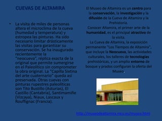 Todo lo que viene a partir de aquí es simplemente para que lo leáis es muy interesante pero no es necesario que lo incluyáis en el esquema. También os pongo varias imágenes de las dos zonas y así podáis diferenciarlas mejor.