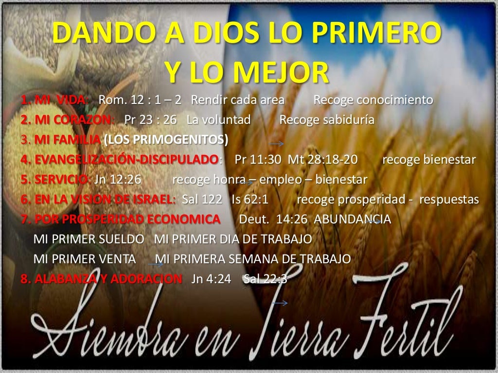 LAS PRIMICIAS