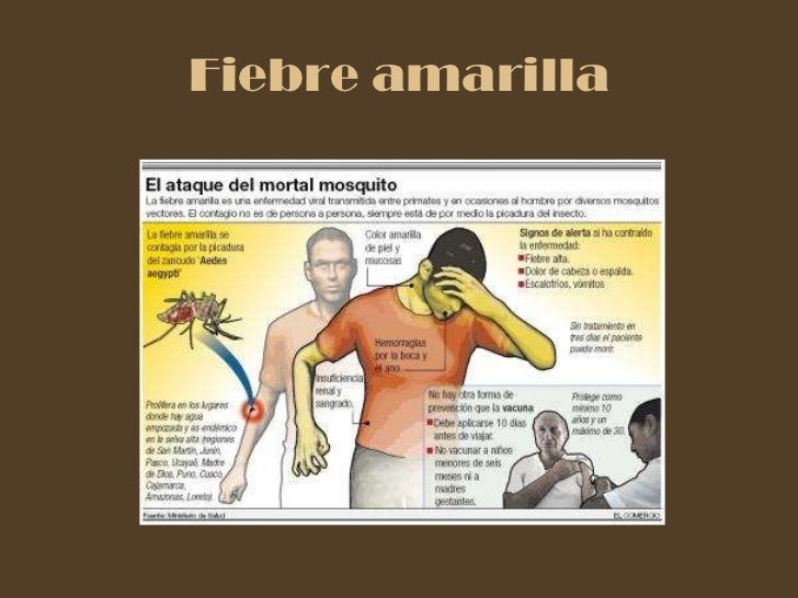 Como ganar a él las lombrices