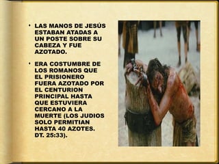  LAS MANOS DE JESÚS
  ESTABAN ATADAS A
  UN POSTE SOBRE SU
  CABEZA Y FUE
  AZOTADO.

 ERA COSTUMBRE DE
  LOS ROMANOS QUE
  EL PRISIONERO
  FUERA AZOTADO POR
  EL CENTURION
  PRINCIPAL HASTA
  QUE ESTUVIERA
  CERCANO A LA
  MUERTE (LOS JUDIOS
  SOLO PERMITIAN
  HASTA 40 AZOTES.
  DT. 25:33).
 