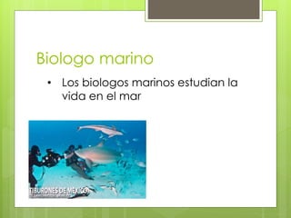 Biologo marino
• Los biologos marinos estudian la
vida en el mar
 