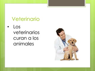 Veterinario
• Los
veterinarios
curan a los
animales
 
