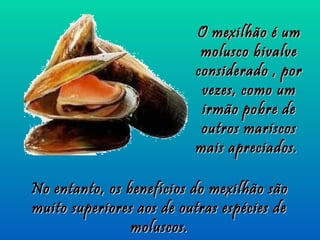 O mexilhão é um
                           molusco bivalve
                          considerado , por
                           vezes, como um
                           irmão pobre de
                           outros mariscos
                          mais apreciados.

No entanto, os benefícios do mexilhão são
muito superiores aos de outras espécies de
                moluscos.
 