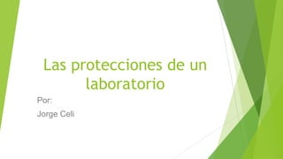 Las protecciones de un
       laboratorio
Por:
Jorge Celi
 