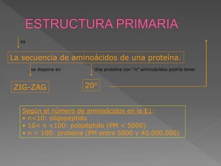 Estructura primaria de una proteína
 