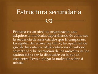 
Proteína en un nivel de organización que
adquiere la molécula, dependiendo de cómo sea
la secuencia de aminoácidos que la componen.
La rigidez del enlace peptídico, la capacidad de
giro de los enlaces establecidos con el carbono
asimétrico y la interacción de los radicales de los
aminoácidos con la disolución en la que se
encuentra, lleva a plegar la molécula sobre sí
misma.
Estructura secundaria
 