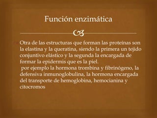 
 Otra de las estructuras que forman las proteínas son
la elastina y la queratina, siendo la primera un tejido
conjuntivo elástico y la segunda la encargada de
formar la epidermis que es la piel.
por ejemplo la hormona trombina y fibrinógeno, la
defensiva inmunoglobulina, la hormona encargada
del transporte de hemoglobina, hemocianina y
citocromos
Función enzimática
 