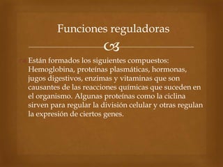 
 Están formados los siguientes compuestos:
Hemoglobina, proteínas plasmáticas, hormonas,
jugos digestivos, enzimas y vitaminas que son
causantes de las reacciones químicas que suceden en
el organismo. Algunas proteínas como la ciclina
sirven para regular la división celular y otras regulan
la expresión de ciertos genes.
Funciones reguladoras
 