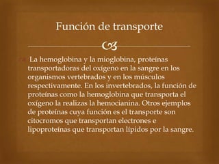 
 La hemoglobina y la mioglobina, proteínas
transportadoras del oxígeno en la sangre en los
organismos vertebrados y en los músculos
respectivamente. En los invertebrados, la función de
proteínas como la hemoglobina que transporta el
oxígeno la realizas la hemocianina. Otros ejemplos
de proteínas cuya función es el transporte son
citocromos que transportan electrones e
lipoproteínas que transportan lípidos por la sangre.
Función de transporte
 