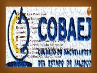 Tema: Las Proteínas
Materia: Biología
Maestra: Aurelia Rostro Ramírez
Escuela: Plantel 17, COBAEJ
Grado: 1° «B»
Alumnos:
 Efrén Alejandro Vázquez Vázquez
 Laura Lizeth Pulido Martínez
 Yazmin Monserrat Saldaña Quezada
 Patrisia González Sandoval
 Ana Cristina García Carraza
 