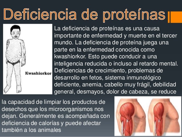 Las proteinas Las proteinas