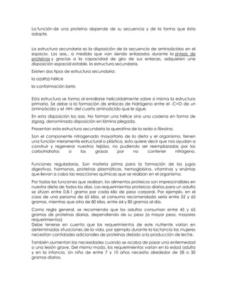La función de una proteína depende de su secuencia y de la forma que ésta
adopte.


La estructura secundaria es la disposición de la secuencia de aminoácidos en el
espacio. Los aas., a medida que van siendo enlazados durante la síntesis de
proteínas y gracias a la capacidad de giro de sus enlaces, adquieren una
disposición espacial estable, la estructura secundaria.
Existen dos tipos de estructura secundaria:
la a(alfa)-hélice
la conformación beta


Esta estructura se forma al enrollarse helicoidalmente sobre sí misma la estructura
primaria. Se debe a la formación de enlaces de hidrógeno entre el -C=O de un
aminoácido y el -NH- del cuarto aminoácido que le sigue.
En esta disposición los aas. No forman una hélice sino una cadena en forma de
zigzag, denominada disposición en lámina plegada.
Presentan esta estructura secundaria la queratina de la seda o fibroína.
Son el componente nitrogenado mayoritario de la dieta y el organismo, tienen
una función meramente estructural o plástica, esto quiere decir que nos ayudan a
construir y regenerar nuestros tejidos, no pudiendo ser reemplazadas por los
carbohidratos     o    las     grasas     por     no      contener     nitrógeno.


Funciones reguladoras, Son materia prima para la formación de los jugos
digestivos, hormonas, proteínas plasmáticas, hemoglobina, vitaminas y enzimas
que llevan a cabo las reacciones químicas que se realizan en el organismo.
Por todas las funciones que realizan, los alimentos proteicos son imprescindibles en
nuestra dieta de todos los días. Los requerimientos proteicos diarios para un adulto
se sitúan entre 0,8-1 gramo por cada kilo de peso corporal. Por ejemplo, en el
caso de una persona de 65 kilos, el consumo recomendado sería entre 52 y 65
gramos, mientras que otra de 80 kilos, entre 64 y 80 gramos al día.
Como regla general, se recomienda que los adultos consuman entre 45 y 65
gramos de proteínas diarias, dependiendo de su peso (a mayor peso, mayores
requerimientos)
Debe tenerse en cuenta que los requerimientos de este nutriente varían en
determinadas situaciones de la vida, por ejemplo durante la lactancia las mujeres
necesitan cantidades adicionales de proteínas debido a la producción de leche.
También aumentan las necesidades cuando se acaba de pasar una enfermedad
o una lesión grave. Del mismo modo, los requerimientos varían en la edad adulta
y en la infancia. Un niño de entre 7 y 10 años necesita alrededor de 28 o 30
gramos diarios.
 