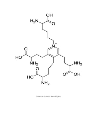 Estructura química del colágeno
 