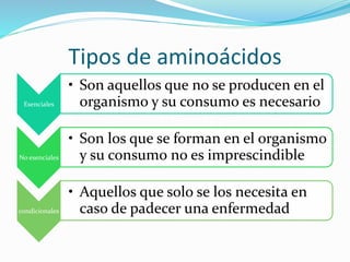 Tipos de aminoácidos
Esenciales
• Son aquellos que no se producen en el
organismo y su consumo es necesario
No esenciales
• Son los que se forman en el organismo
y su consumo no es imprescindible
condicionales
• Aquellos que solo se los necesita en
caso de padecer una enfermedad
 