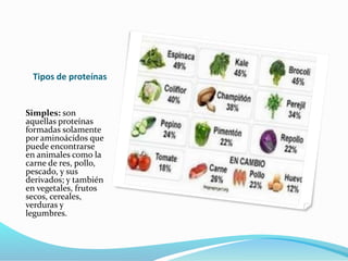 Tipos de proteínas
Simples: son
aquellas proteínas
formadas solamente
por aminoácidos que
puede encontrarse
en animales como la
carne de res, pollo,
pescado, y sus
derivados; y también
en vegetales, frutos
secos, cereales,
verduras y
legumbres.
 
