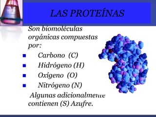 LAS PROTEÍNAS
Son biomoléculas
orgánicas compuestas
por:
 Carbono (C)
 Hidrógeno (H)
 Oxígeno (O)
 Nitrógeno (N)
Algun...