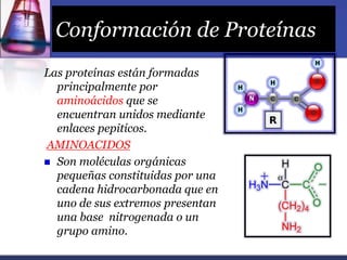 Conformación de Proteínas
Las proteínas están formadas
principalmente por
aminoácidos que se
encuentran unidos mediante
en...