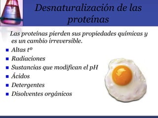 Desnaturalización de las
proteínas
Las proteínas pierden sus propiedades químicas y
es un cambio irreversible.
 Altas tº
...