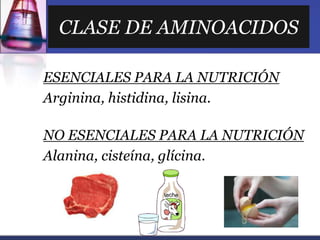 CLASE DE AMINOACIDOS
ESENCIALES PARA LA NUTRICIÓN
Arginina, histidina, lisina.
NO ESENCIALES PARA LA NUTRICIÓN
Alanina, ci...