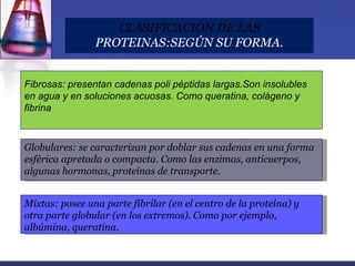 CLASIFICACION DE LAS
                PROTEINAS:SEGÚN SU FORMA.


Fibrosas: presentan cadenas poli péptidas largas.Son insolubles
en agua y en soluciones acuosas. Como queratina, colágeno y
fibrina



Globulares: se caracterizan por doblar sus cadenas en una forma
esférica apretada o compacta. Como las enzimas, anticuerpos,
algunas hormonas, proteínas de transporte.


Mixtas: posee una parte fibrilar (en el centro de la proteína) y
otra parte globular (en los extremos). Como por ejemplo,
albúmina, queratina.
 
