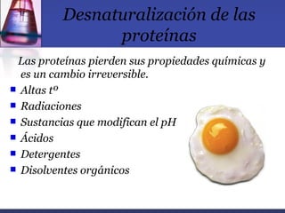 Desnaturalización de las
                proteínas
 Las proteínas pierden sus propiedades químicas y
  es un cambio irreversible.
 Altas tº
 Radiaciones
 Sustancias que modifican el pH
 Ácidos
 Detergentes
 Disolventes orgánicos
 