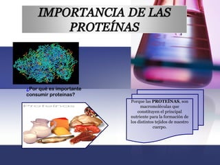 ¿Por qué es importante
consumir proteínas?
                         Porque las PROTEÍNAS, son
                              macromoléculas que
                             constituyen el principal
                         nutriente para la formación de
                         los distintos tejidos de nuestro
                                     cuerpo.
 