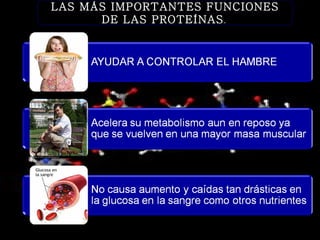 LAS MÁS IMPORTANTES FUNCIONES
      DE LAS PROTEÍNAS .
 