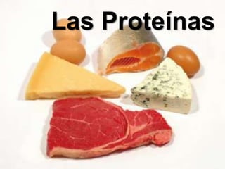 Las Proteínas
 
