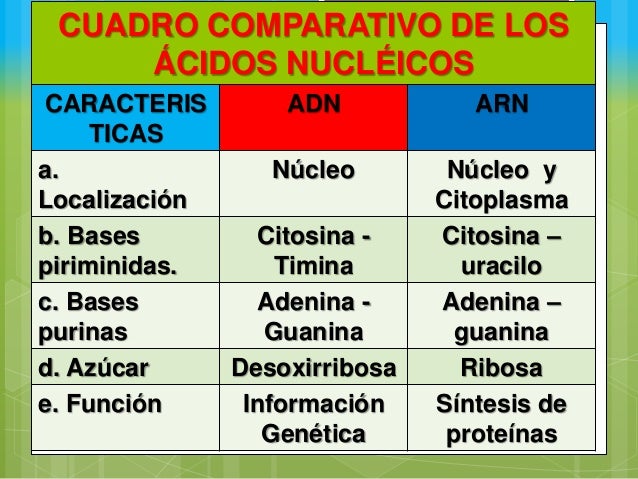 Las proteinas y acidos nucleicos