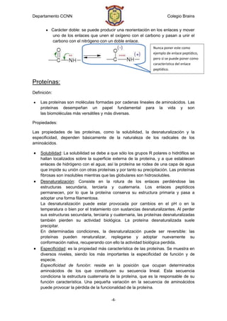 Departamento CCNN                                                       Colegio Brains


          Carácter doble: se puede producir una reorientación en los enlaces y mover
          uno de los enlaces que unen el oxígeno con el carbono y pasan a unir el
          carbono con el nitrógeno con un doble enlace.
                                                                Nunca poner este como
                                                                ejemplo de enlace peptídico,
                                                                pero si se puede poner como
                                                                característica del enlace
                                                                peptídico.


Proteínas:
Definición:

    Las proteínas son moléculas formadas por cadenas lineales de aminoácidos. Las
    proteínas desempeñan un papel fundamental para la vida y son
    las biomoléculas más versátiles y más diversas.

Propiedades:

Las propiedades de las proteínas, como la solubilidad, la desnaturalización y la
especificidad, dependen básicamente de la naturaleza de los radicales de los
aminoácidos.

    Solubilidad: La solubilidad se debe a que sólo los grupos R polares o hidrófilos se
    hallan localizados sobre la superficie externa de la proteína, y a que establecen
    enlaces de hidrógeno con el agua; así la proteína se rodea de una capa de agua
    que impide su unión con otras proteínas y por tanto su precipitación. Las proteínas
    fibrosas son insolubles mientras que las globulares son hidrosolubles.
    Desnaturalización: Consiste en la rotura de los enlaces perdiéndose las
    estructuras secundaria, terciaria y cuaternaria. Los enlaces peptídicos
    permanecen, por lo que la proteína conserva su estructura primaria y pasa a
    adoptar una forma filamentosa.
    La desnaturalización puede estar provocada por cambios en el pH o en la
    temperatura o bien por el tratamiento con sustancias desnaturalizantes. Al perder
    sus estructuras secundaria, terciaria y cuaternaria, las proteínas desnaturalizadas
    también pierden su actividad biológica. La proteína desnaturalizada suele
    precipitar.
    En determinadas condiciones, la desnaturalización puede ser reversible: las
    proteínas pueden renaturalizar, replegarse y adoptar nuevamente su
    conformación nativa, recuperando con ello la actividad biológica perdida.
    Especificidad: es la propiedad más característica de las proteínas. Se muestra en
    diversos niveles, siendo los más importantes la especificidad de función y de
    especie.
    Especificidad de función: reside en la posición que ocupan determinados
    aminoácidos de los que constituyen su secuencia lineal. Esta secuencia
    condiciona la estructura cuaternaria de la proteína, que es la responsable de su
    función característica. Una pequeña variación en la secuencia de aminoácidos
    puede provocar la pérdida de la funcionalidad de la proteína.

                                          -4-
 