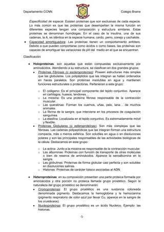 Departamento CCNN                                                         Colegio Brains


    Especificidad de especie: Existen proteínas que son exclusivas de cada especie.
    Lo más común es que las proteínas que desempeñan la misma función en
    diferentes especies tengan una composición y estructura similares. Estas
    proteínas se denominan homólogas. En el caso de la insulina, una de sus
    cadenas, la A, es idéntica en la especie humana, cerdo, perro, conejo y cachalote.
    Capacidad amortiguadora: Las proteínas tienen un comportamiento anfótero.
    Debido a que pueden comportarse como ácidos o como bases, las proteínas son
    capaces de amortiguar las variaciones de pH del medio en el que se encuentran.

Clasificación:

       Holoproteínas: son aquellas que están compuestas exclusivamente por
       aminoácidos. Atendiendo a su estructura, se clasifican en dos grandes grupos:
          Proteínas Fibrosas (o escleroproteínas): Poseen estructuras más simples
          que las globulares. Los polipéptidos que las integran se hallan ordenados
          en haces paralelos. Son proteínas insolubles en agua y mantienen
          funciones estructurales o protectoras. Pertenecen a este grupo:

           o   El colágeno: Es el principal componente del tejido conjuntivo. Aparece
               en cartílagos, huesos, tendones…
           o La miosina: Es una proteína fibrosa responsable de la contracción
               muscular.
           o Las queratinas: Forman los cuernos, uñas, pelo, lana… de muchos
               animales.
           o La fibrina de la sangre, que interviene en los procesos de coagulación
               sanguínea.
           o La elastina: Localizada en el tejido conjuntivo. Es extremadamente móvil
               y flexible.
           Proteínas Globulares (o esferoproteínas): Son más complejas que las
           fibrosas. Las cadenas polipeptídicas que las integran forman una estructura
           compacta, más o menos esférica. Son solubles en agua o en disoluciones
           polares y son las principales responsables de las actividades biológicas de
           la célula. Destacamos en este grupo:

           o     La actina: Junto a la miosina es responsable de la contracción muscular.
           o     Las albúminas: Proteínas con función de transporte de otras moléculas
                 o bien de reserva de aminoácidos. Aparece la seroalbúmina en la
                 sangre.
           o     Las globulinas: Proteínas de forma globular casi perfecta y son solubles
                 en disoluciones salinas.
           o     Histonas: Proteínas de carácter básico asociadas al ADN.

       Heteroproteínas: en su composición presentan una parte proteica formada por
       aminoácidos y otra porción no proteica llamada grupo prostético. Según la
       naturaleza del grupo prostético se denominarán:
          Cromoproteínas: El grupo prostético es una sustancia coloreada
          denominada pigmento. Destacamos la hemoglobina y la hemocianina
          (pigmento respiratorio de color azul por llevar Cu, aparece en la sangre de
          los crustáceos).
          Nucleoproteínas: El grupo prostético es un ácido Nucleico. Ejemplo: las
          histonas.

                                            -5-
 