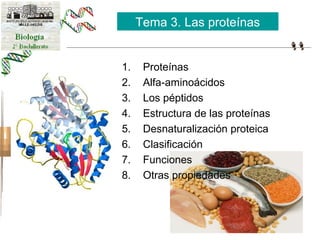 Tema 3. Las proteínas 
1. Proteínas 
2. Alfa-aminoácidos 
3. Los péptidos 
4. Estructura de las proteínas 
5. Desnaturalización proteica 
6. Clasificación 
7. Funciones 
8. Otras propiedades 
 