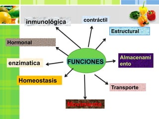 FUNCIONES
Estructural
Almacenami
ento
Transporte
Movimiento
Homeostasis
inmunológica
Hormonal
contráctil
enzimatica
 
