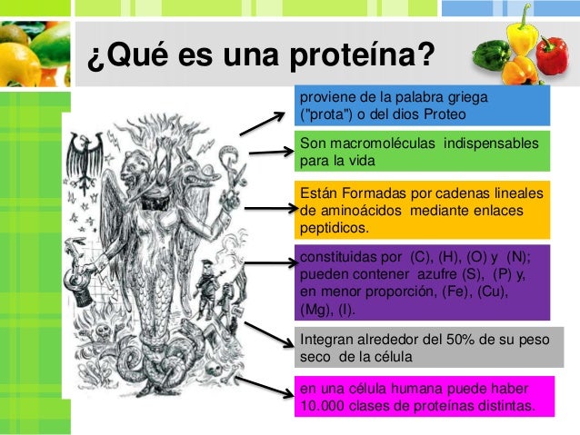 LAS PROTEÍNAS