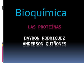 LAS PROTEÍNAS
DAYRON RODRIGUEZ
ANDERSON QUIÑONES
Bioquímica
 