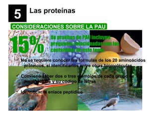 5

Las proteínas

CONSIDERACIONES SOBRE LA PAU

15%

de pruebas de PAU incluyen
preguntas relacionadas con los
contenidos ...