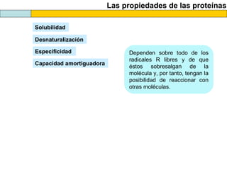 Las propiedades de las proteínas
Solubilidad
Desnaturalización
Capacidad amortiguadora
Especificidad Dependen sobre todo de los
radicales R libres y de que
éstos sobresalgan de la
molécula y, por tanto, tengan la
posibilidad de reaccionar con
otras moléculas.
 