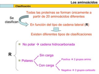 Clasificación
Los aminoácidos
En función del tipo de cadena lateral (R)
No polar  cadena hidrocarbonada
Polares
R
Todas las proteínas se forman únicamente a
partir de 20 aminoácidos diferentesSe
clasifican
Existen diferentes tipos de clasificaciones
Sin carga
Con carga
Positiva  2 grupos amino
Negativa  2 grupos carboxilo
 