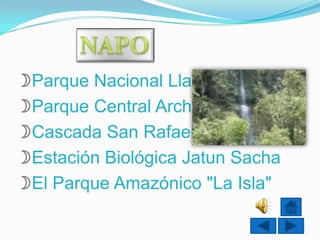Parque Nacional Llanganates
Parque Central Archidona
Cascada San Rafael
Estación Biológica Jatun Sacha
El Parque Amazónico "La Isla"
 