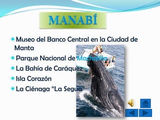 Museo del Banco Central en la Ciudad de
 Manta
Parque Nacional de Machalilla
La Bahía de Caráquez
Isla Corazón
La Ciénaga “La Segua”
 