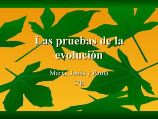 Las pruebas de la evolución María, Jonás y Paola 5ºB 