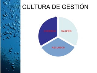 CULTURA DE GESTIÓN 