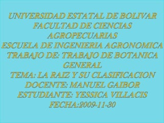 UNIVERSIDAD ESTATAL DE BOLIVARFACULTAD DE CIENCIAS AGROPECUARIASESCUELA DE INGENIERIA AGRONOMICATRABAJO DE: TRABAJO DE BOTANICA GENERALTEMA: LA RAIZ Y SU CLASIFICACIONDOCENTE: MANUEL GAIBORESTUDIANTE: YESSICA VILLACISFECHA:2009-11-30 