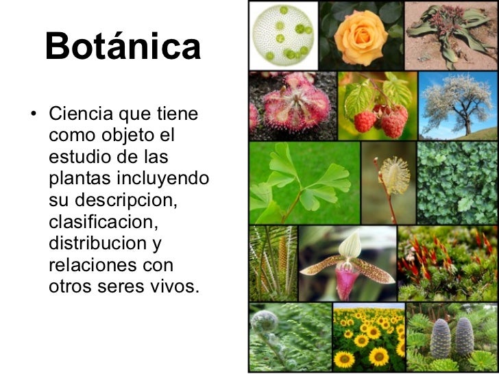 Las Ramas Principales de las Ciencias Naturales 9no 09 10